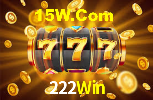 222Win App Interface